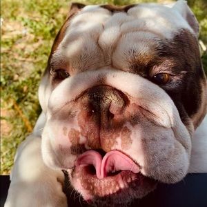 Meet your Posher, Hayley